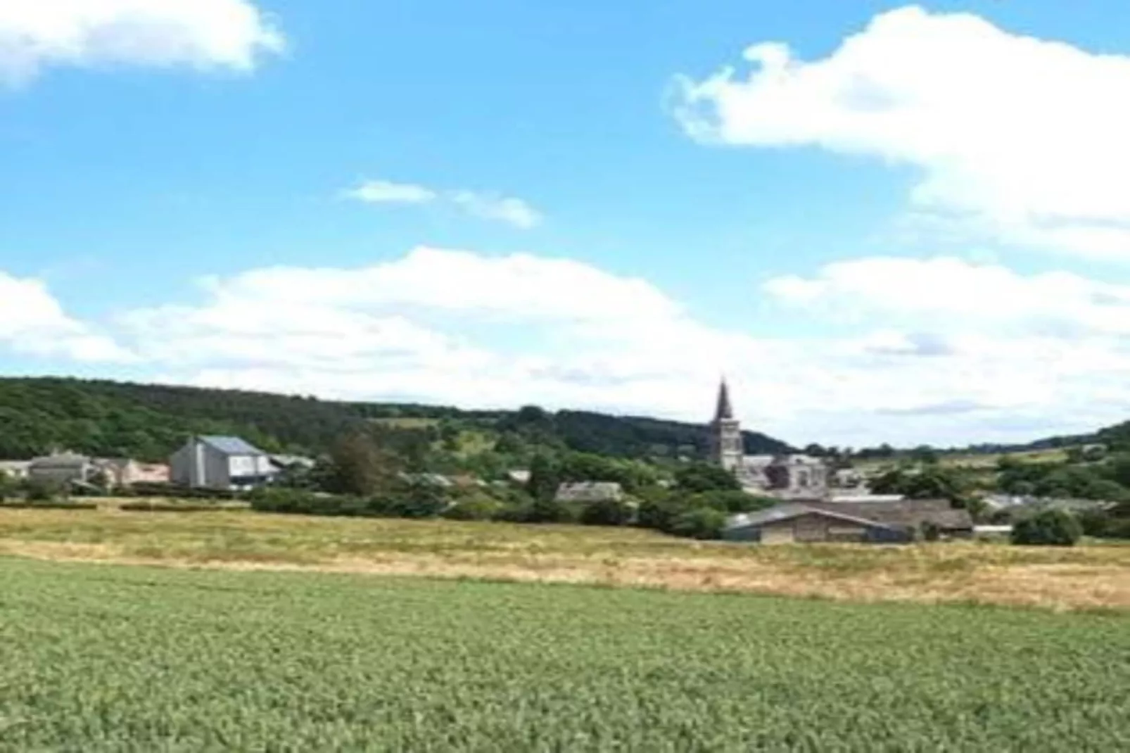 Verblijfpark Ardinam 1-Areas within 20km in summer