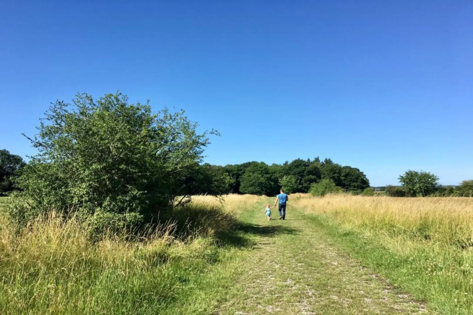 La Pierraille-Zones été à 20 km
