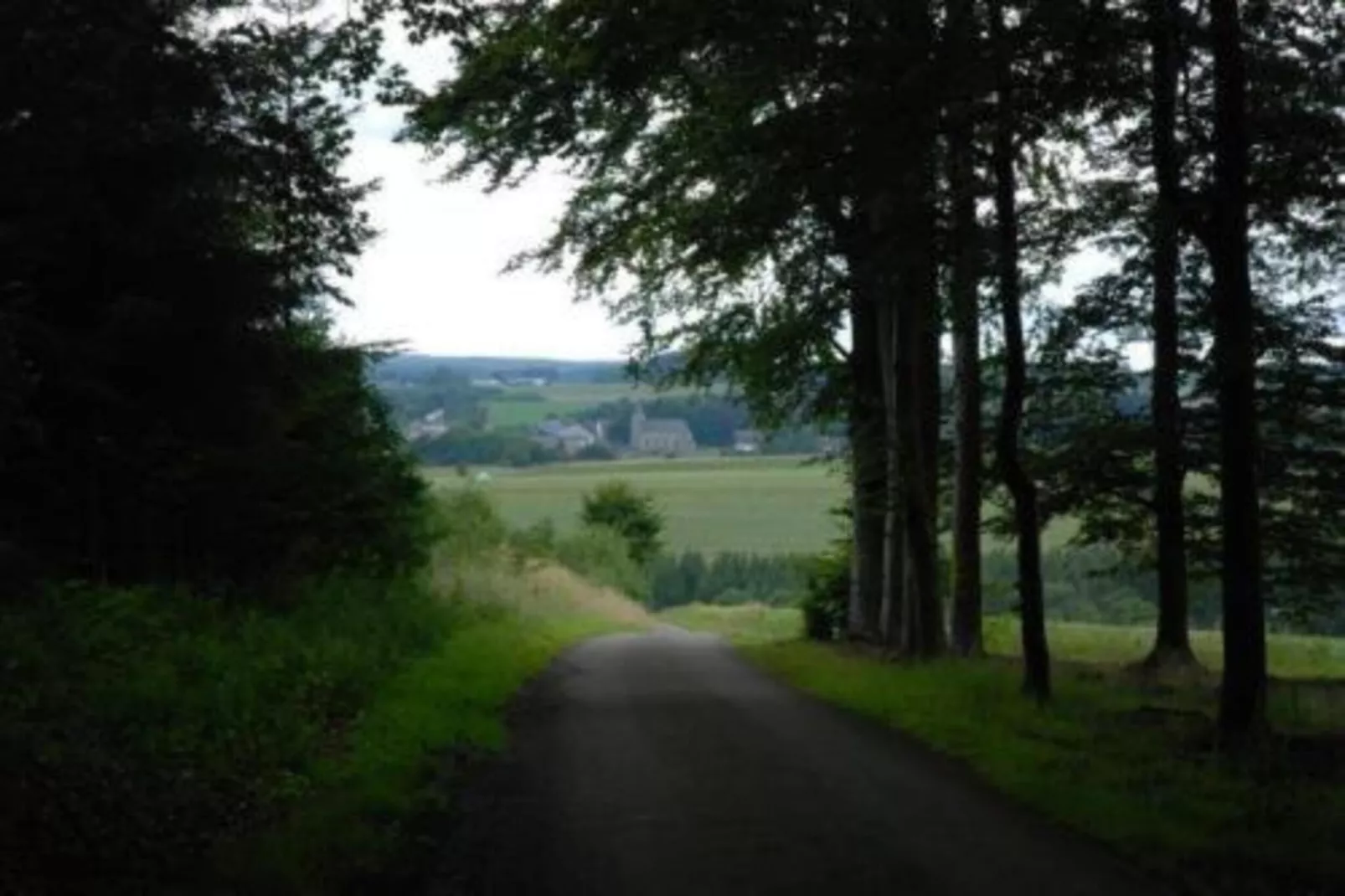 Rogery 64-Areas within 20km in summer
