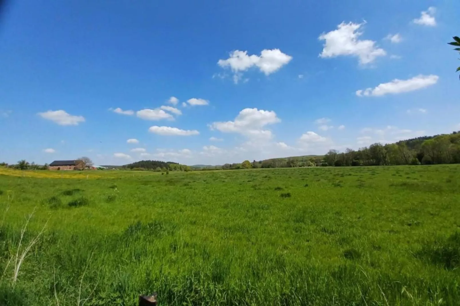 Li Vêrt Veschau-Areas within 20km in summer