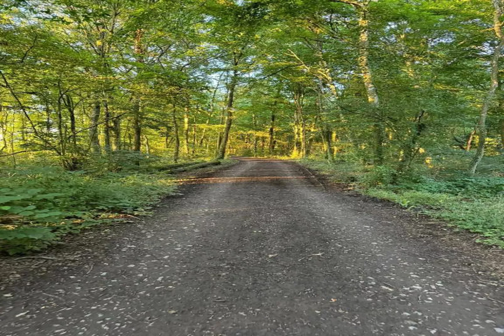 Oneux-Areas within 20km in summer
