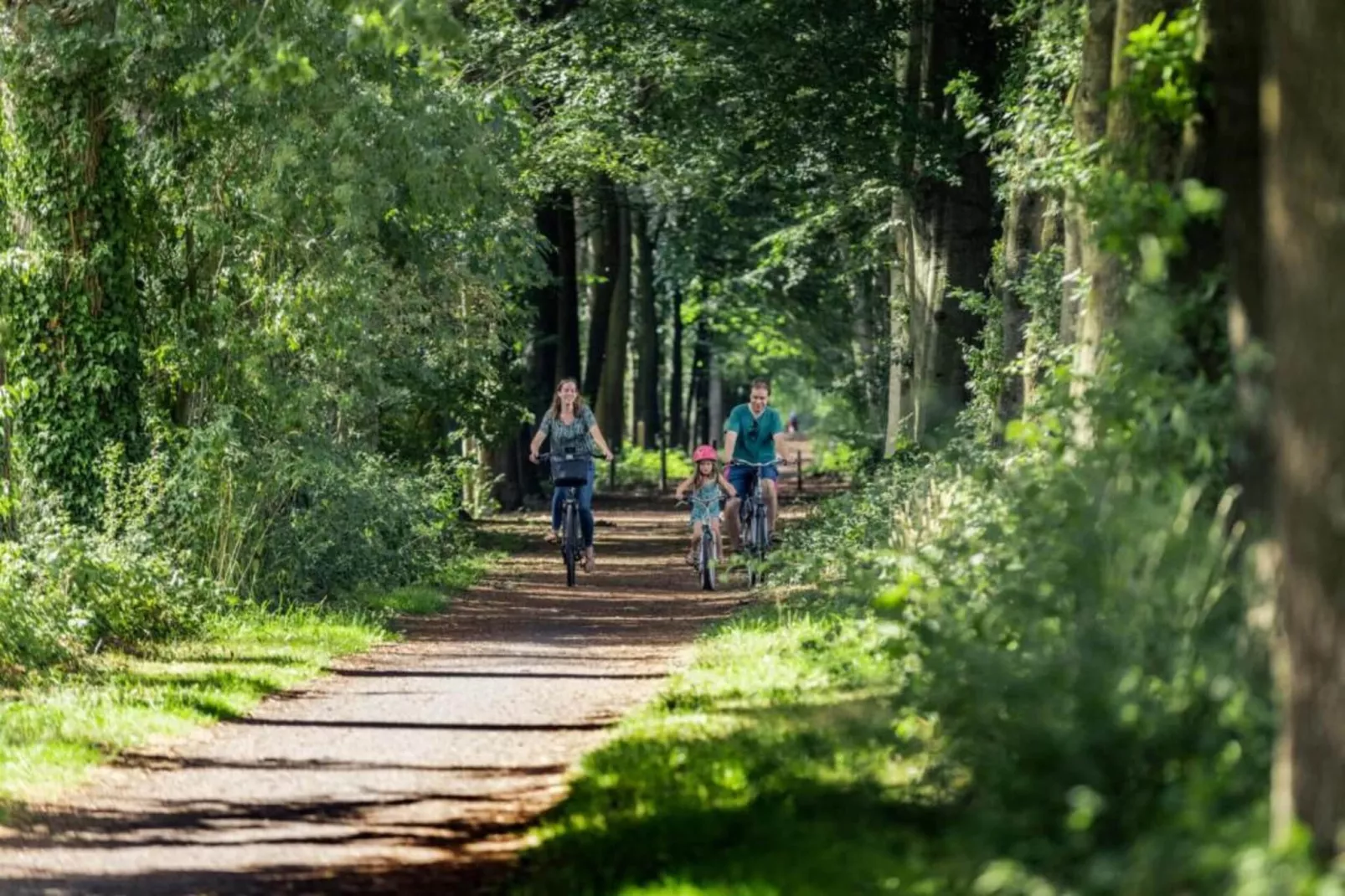 Casteeldoorn-Areas within 20km in summer