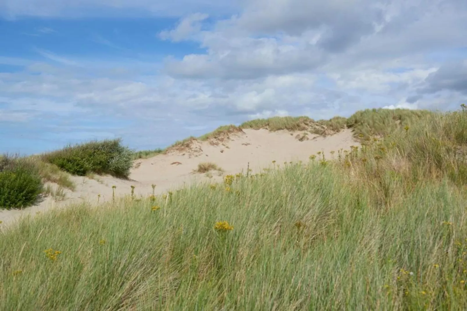 Residentie Shamrock Bianca-Areas within 20km in summer