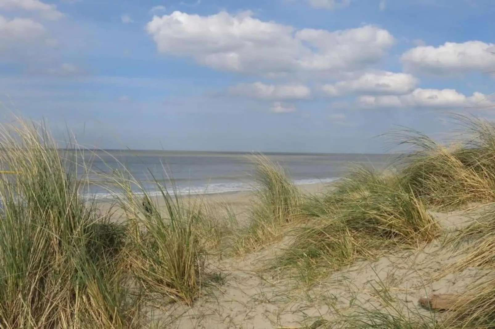 Breeduyn Village 1-Gebiete Sommer 20 km