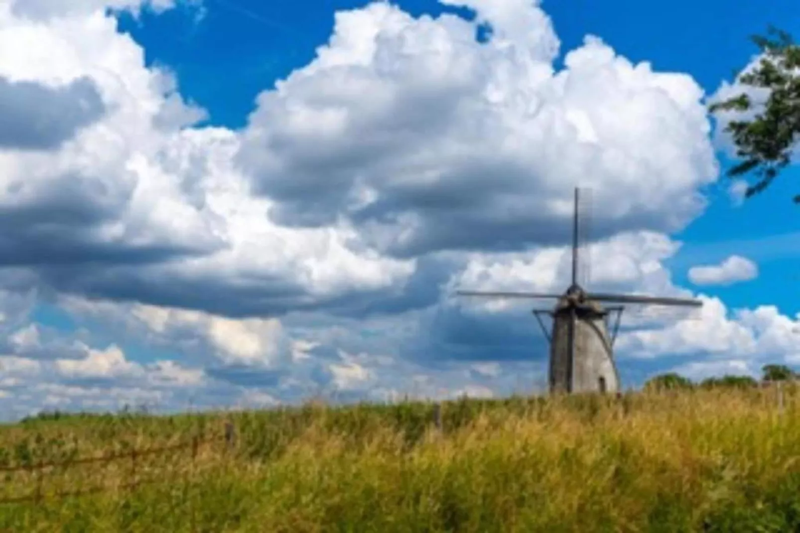 Wellness vakantiehuis Vlaamse Ardennen-Gebiete Sommer 20 km