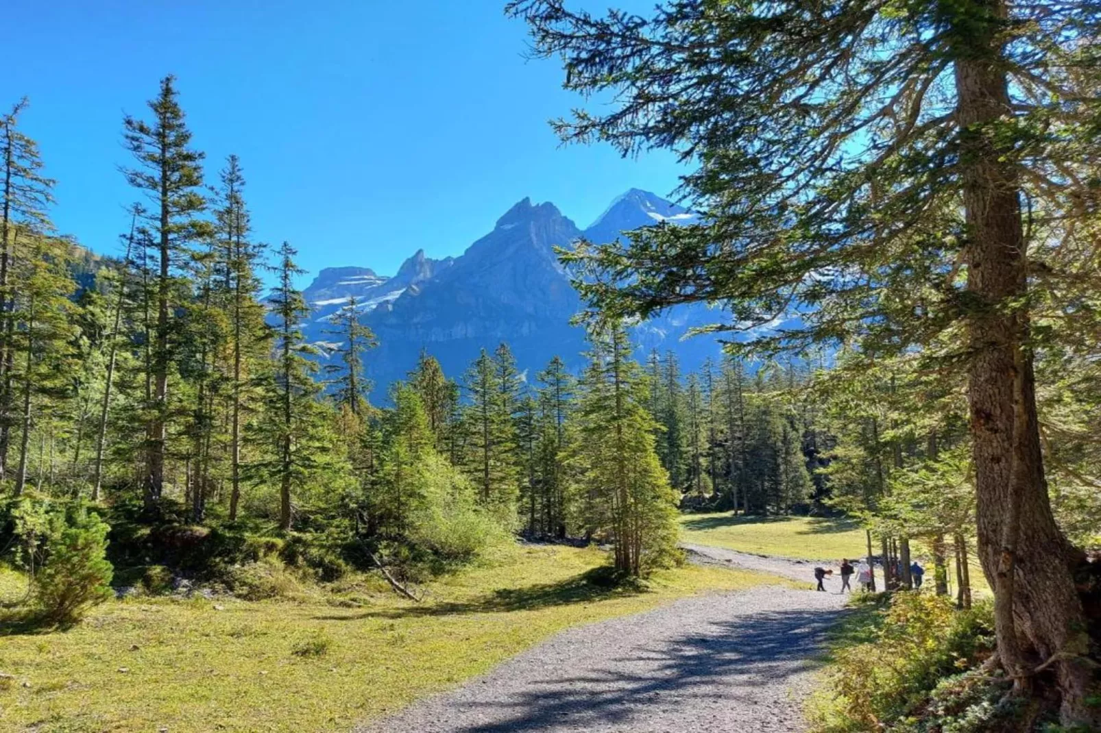 Stöckli-Areas summer 20km
