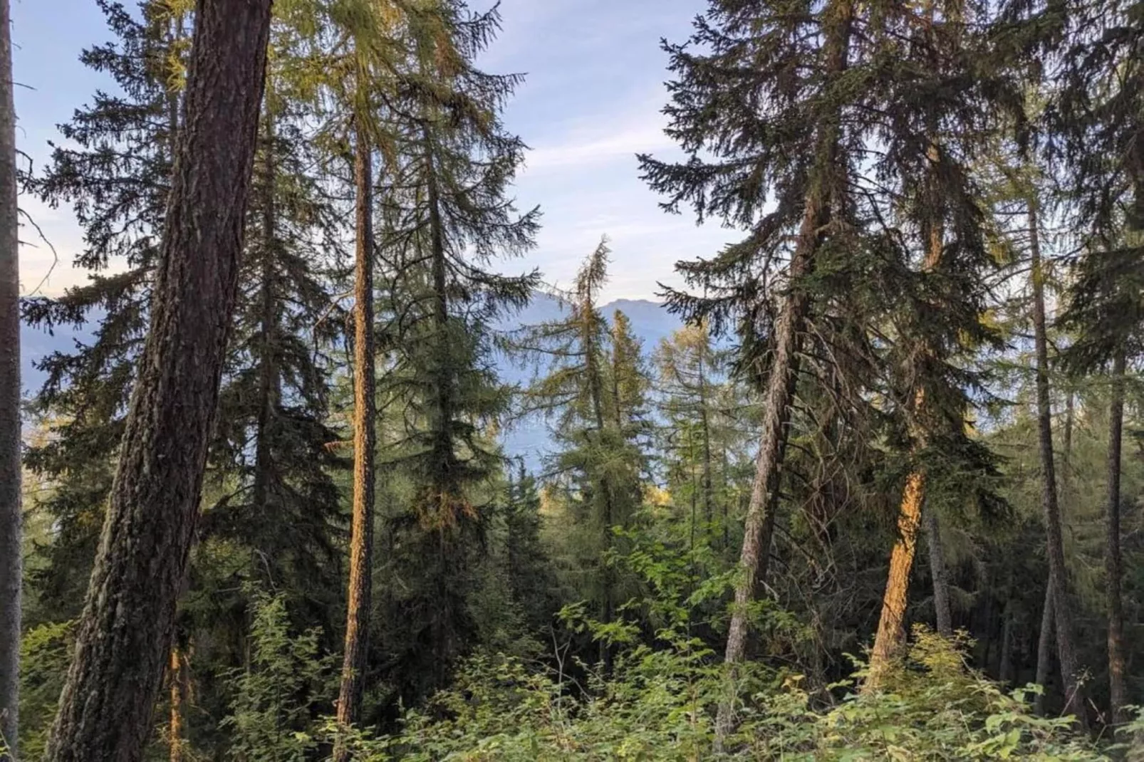 Chalet Le Chaînon-Gebiete Sommer 5 km