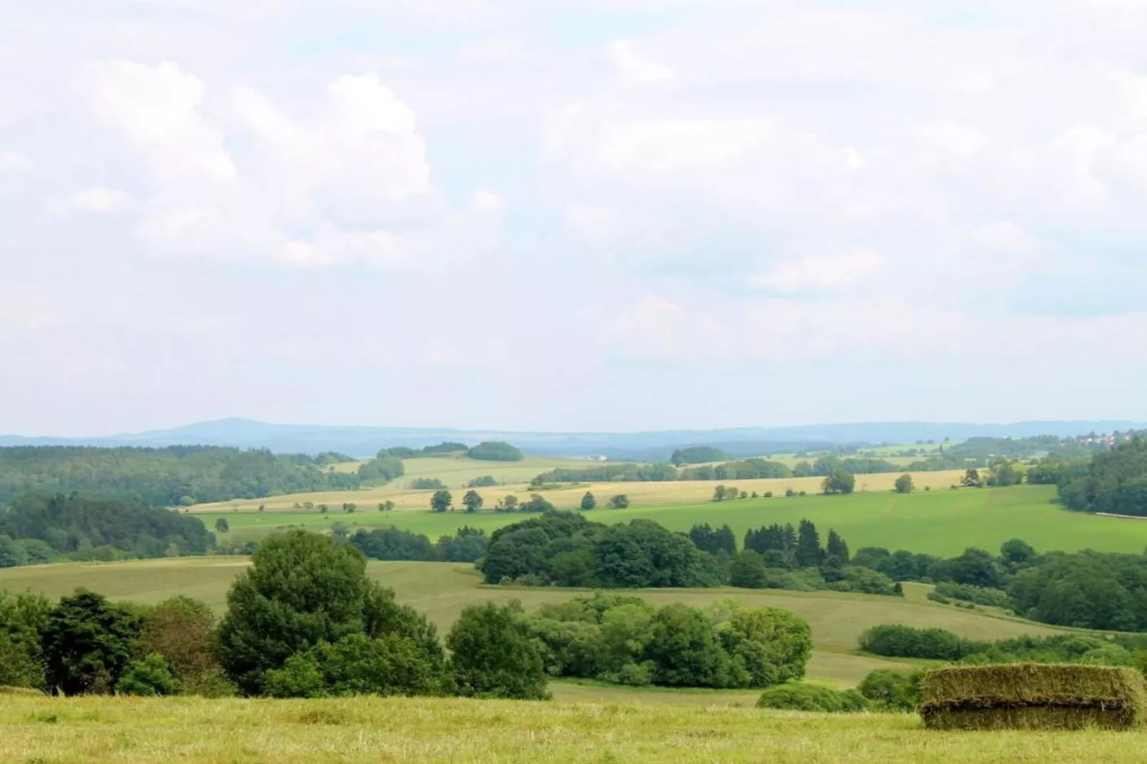 Pereboom-Areas within 5km in summer