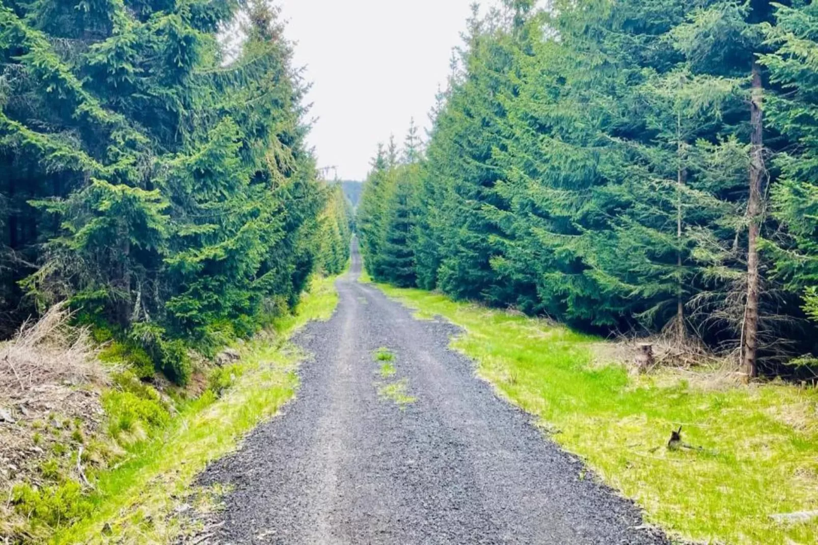 Abertamy-Areas within 5km in summer
