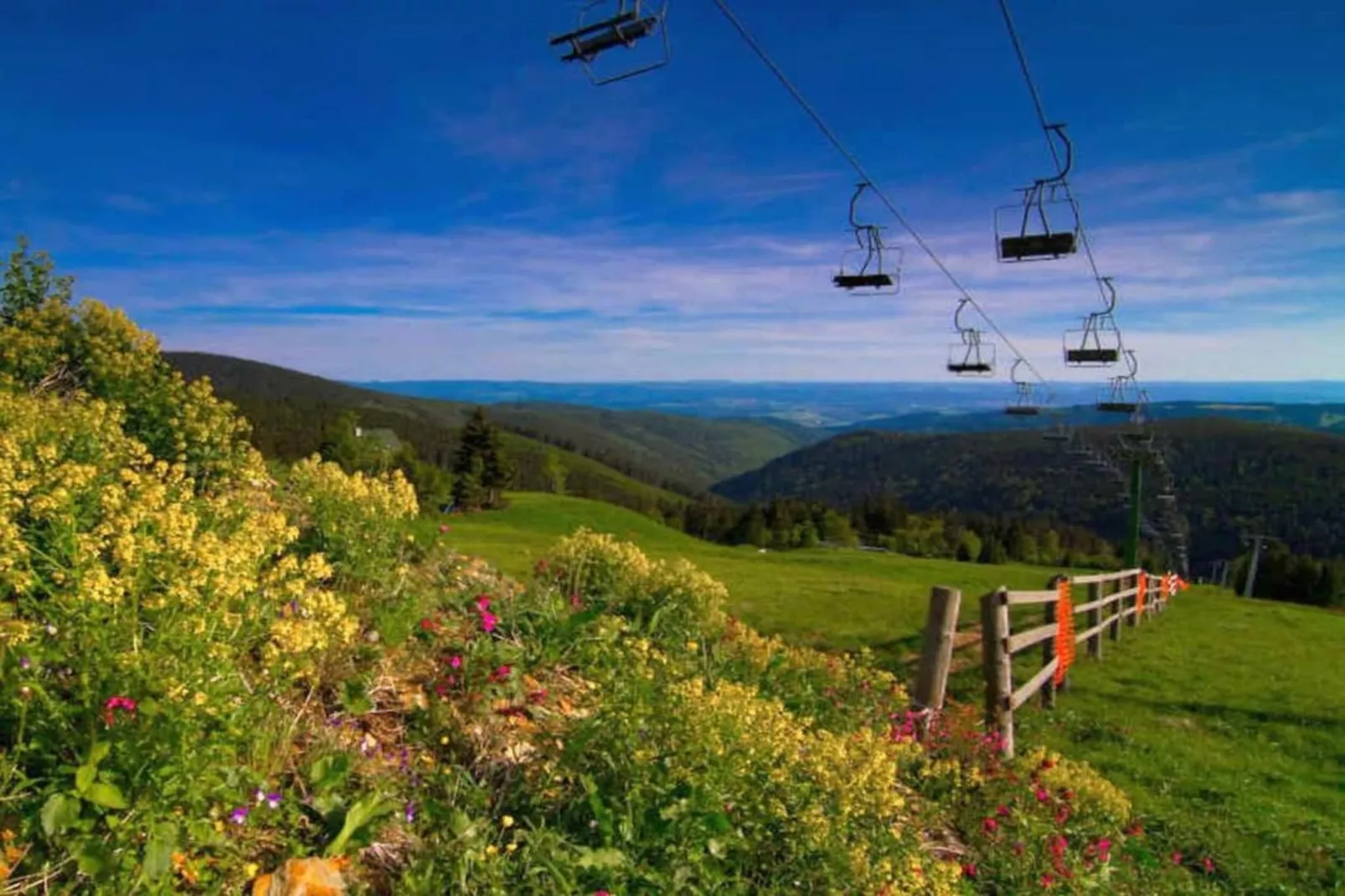 SORT A-Areas within 5km in summer