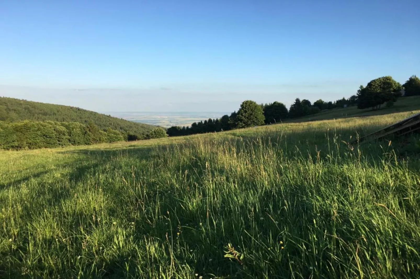 Stela-Areas within 5km in summer