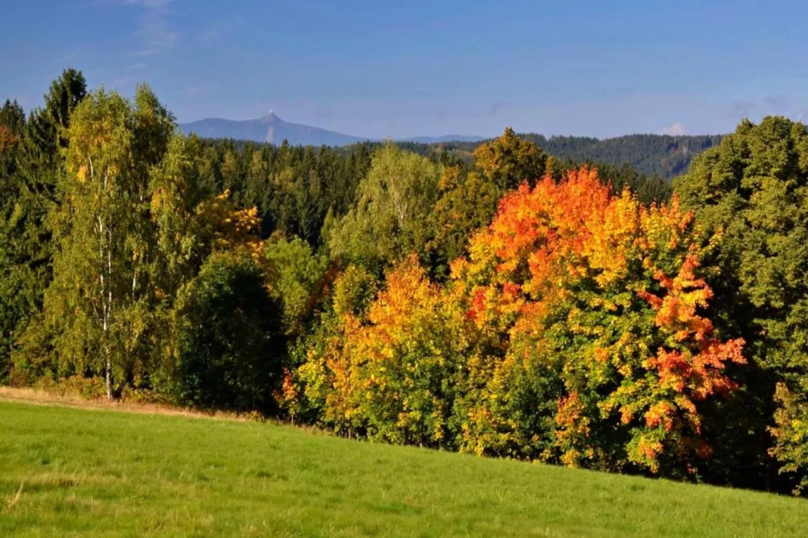 Monika-Areas within 5km in summer