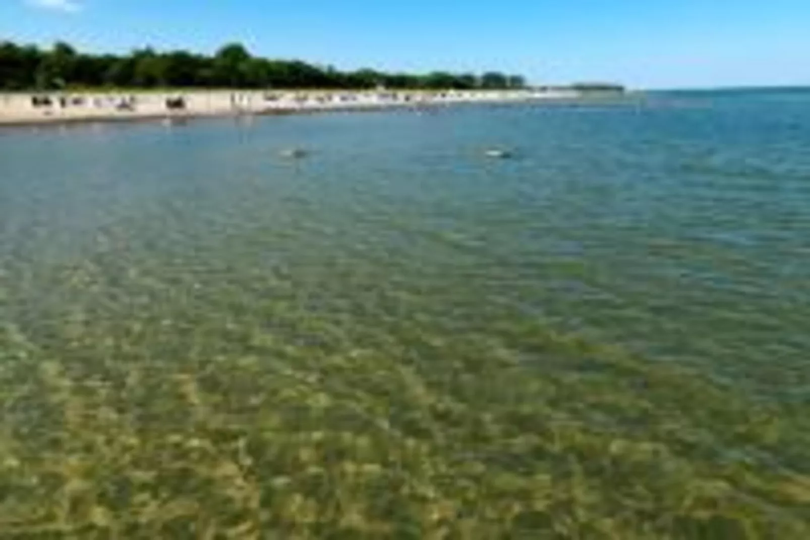 Bei Ostseebad Rerik-Zones été à 20 km