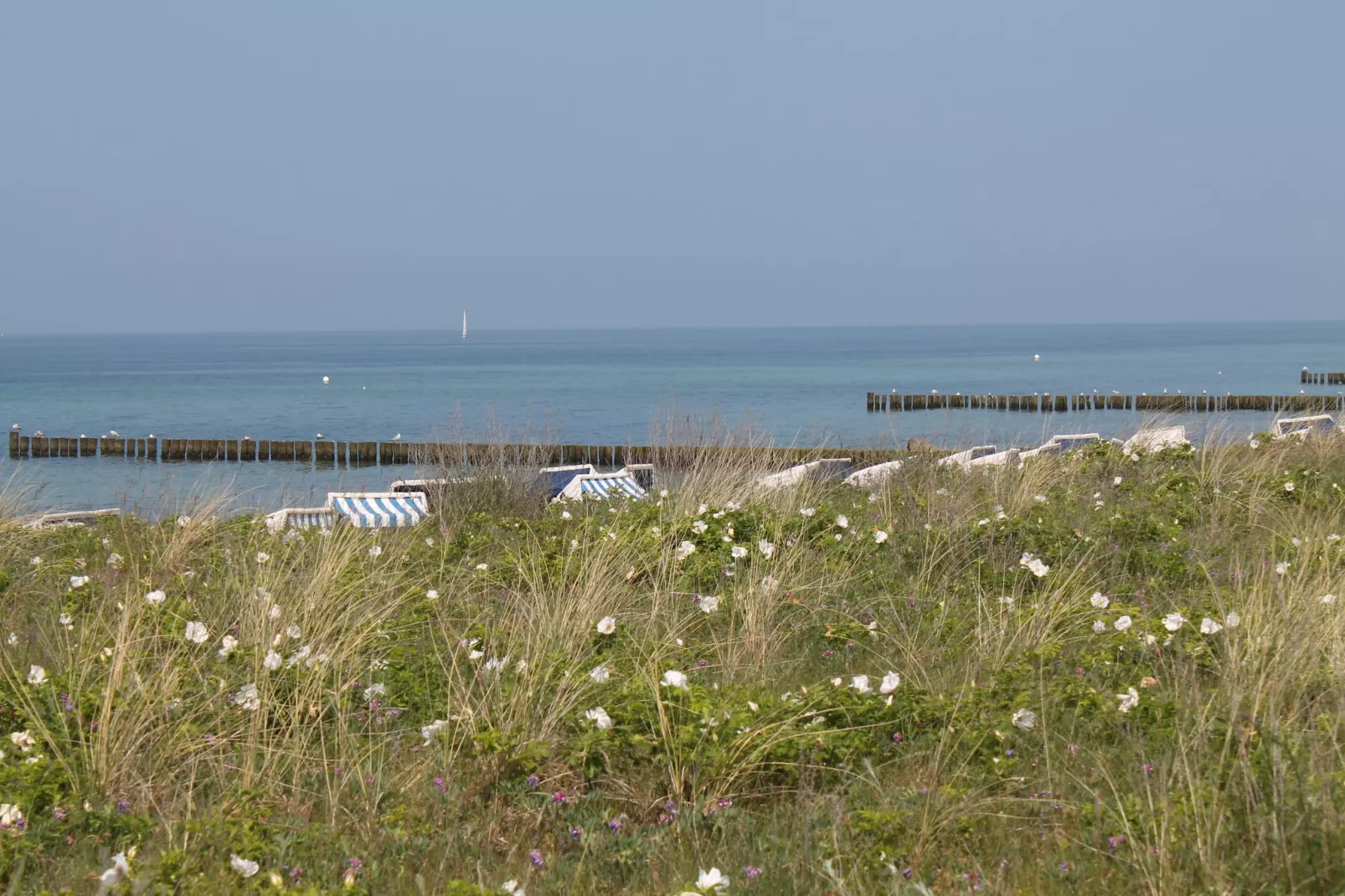 Kühlungsblick-Areas within 5km in summer