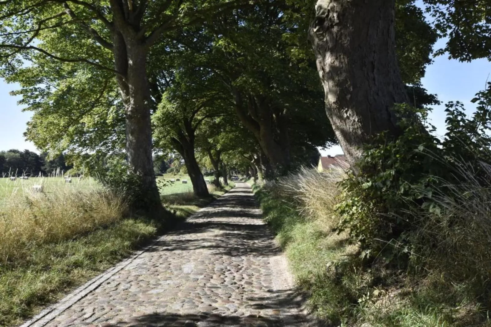 Gartenblick bei Gerdshagen-Areas within 20km in summer