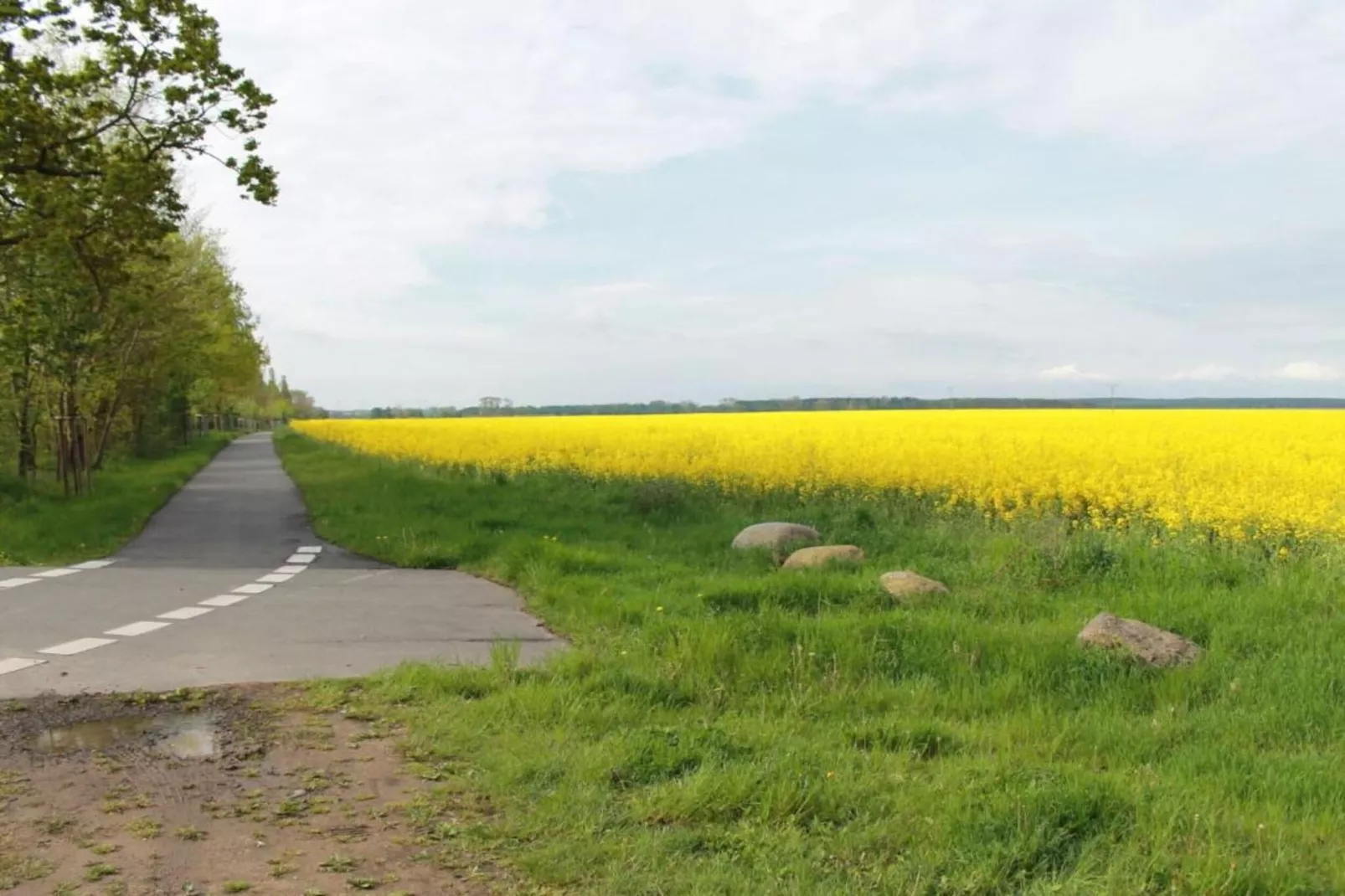 Dat Oole Huus 3-Areas within 5km in summer