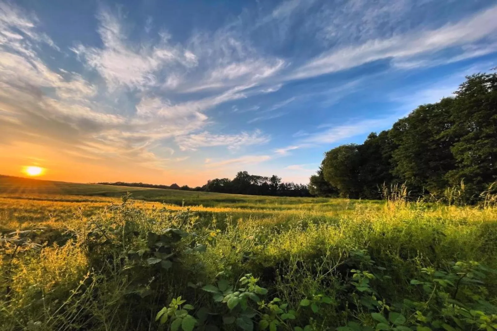 Dat Brookhus-Gebiete Sommer 20 km
