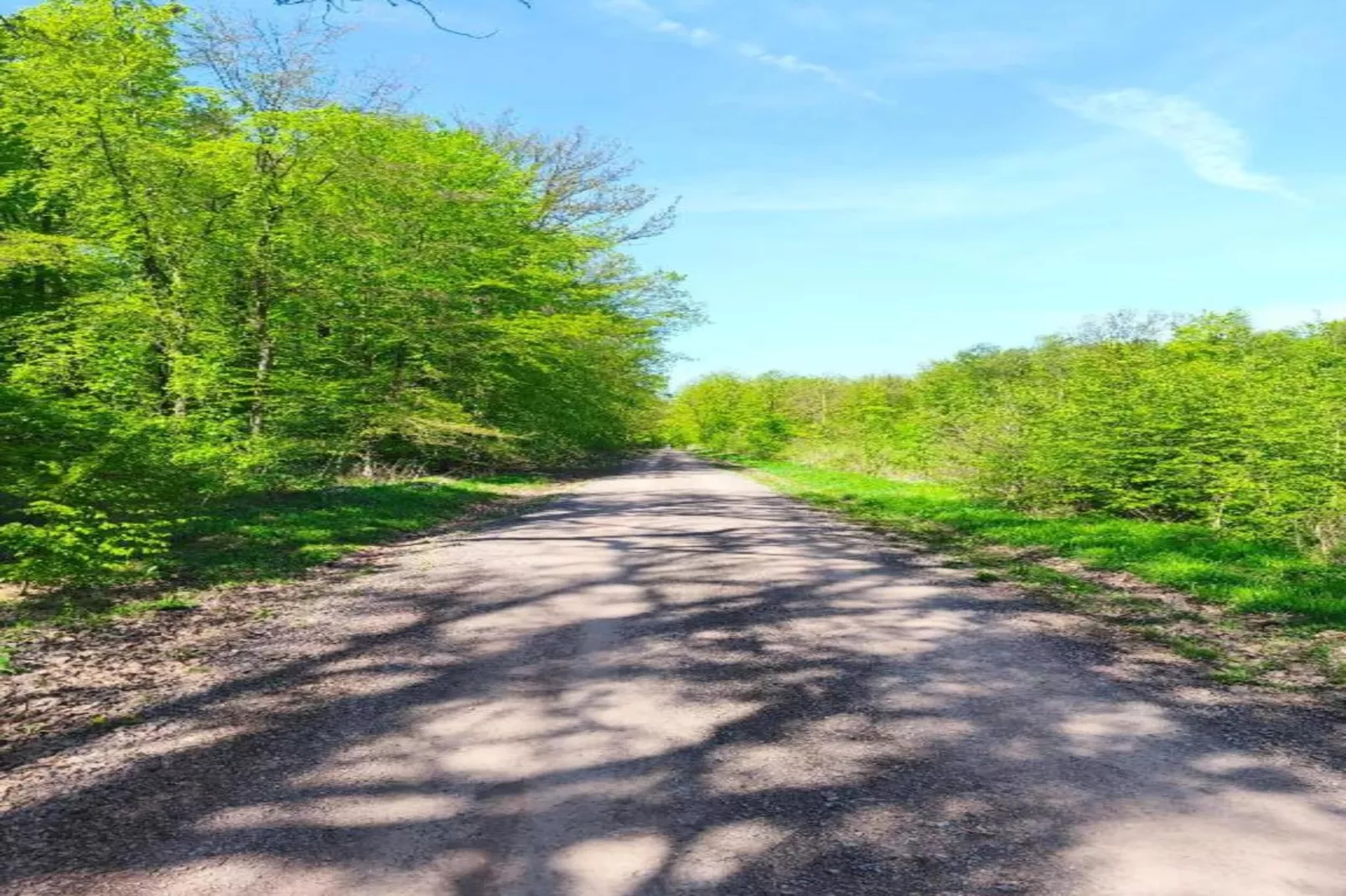 Holzhaus Ute-Areas within 20km in summer
