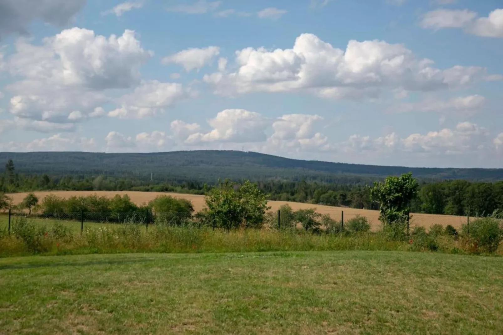 Holzhaus Andi-Areas within 20km in summer