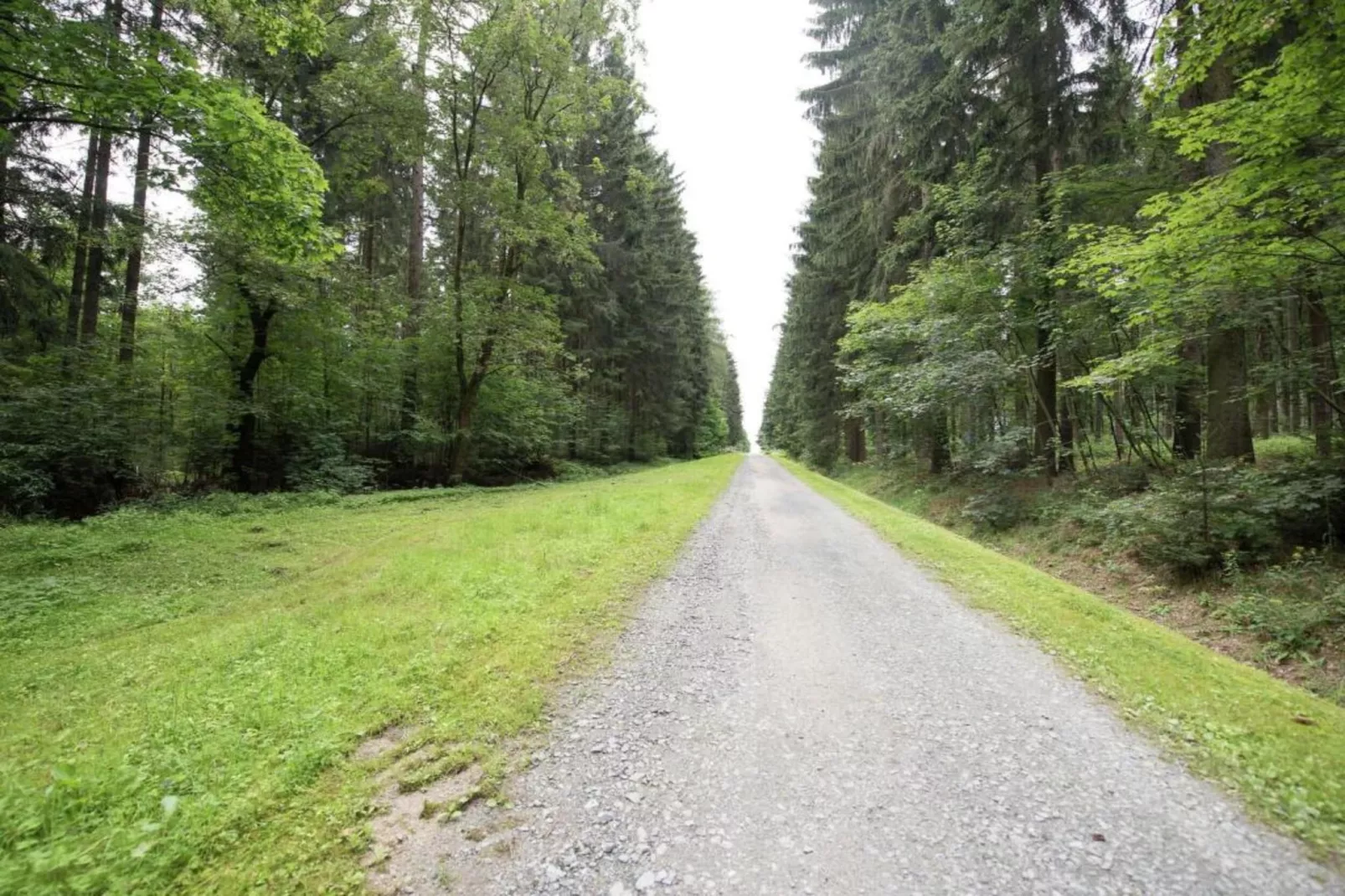 Vogtland-Areas within 20km in summer