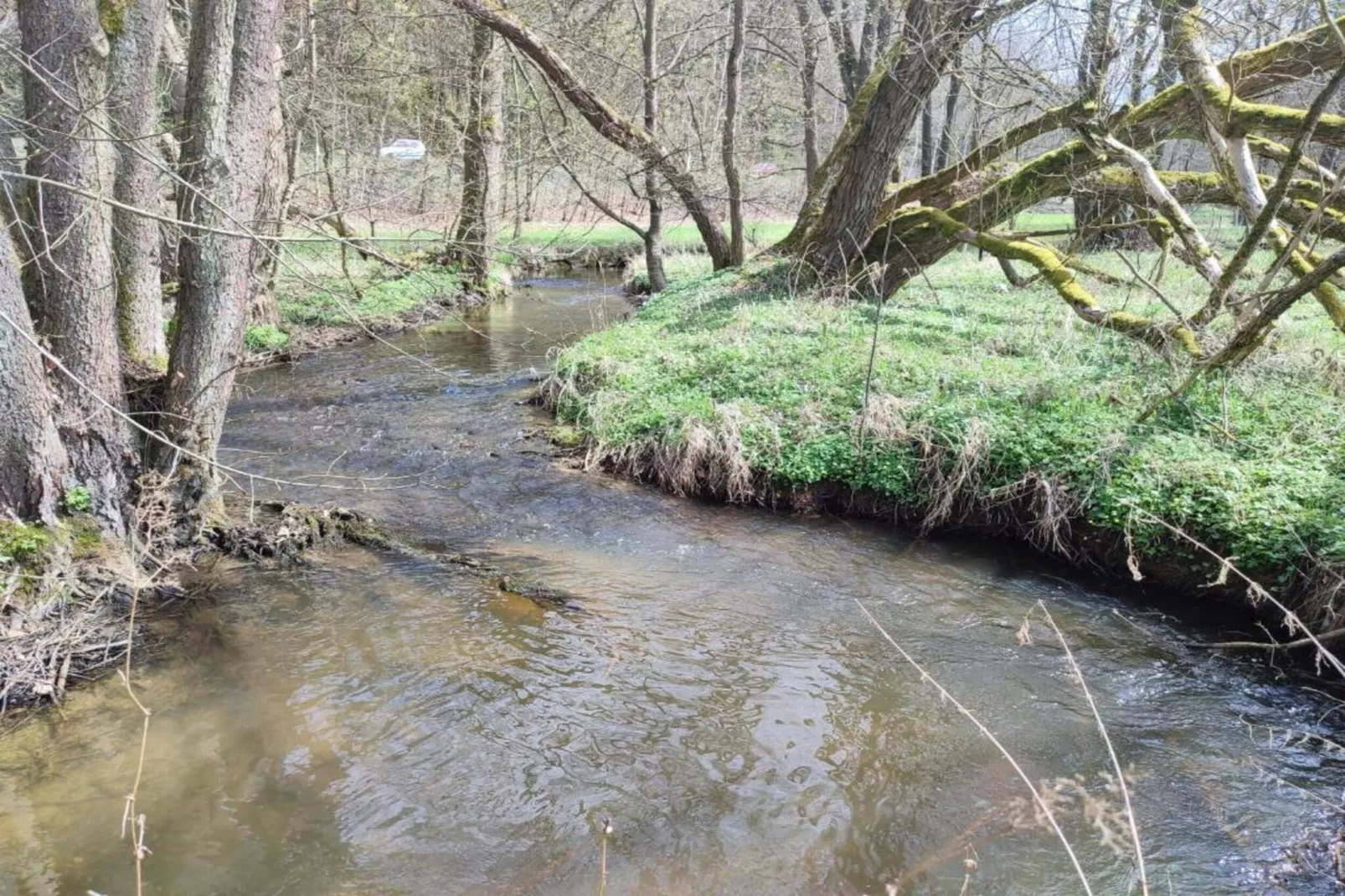 Bad Elster-Gebiete Sommer 20 km