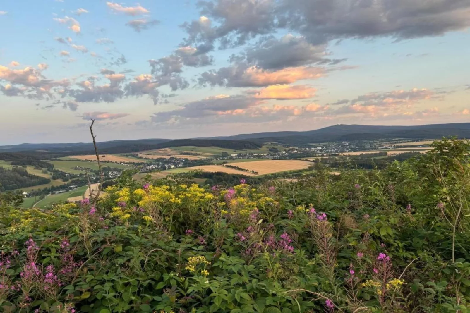 Honighäusl-Gebiete Sommer 20 km