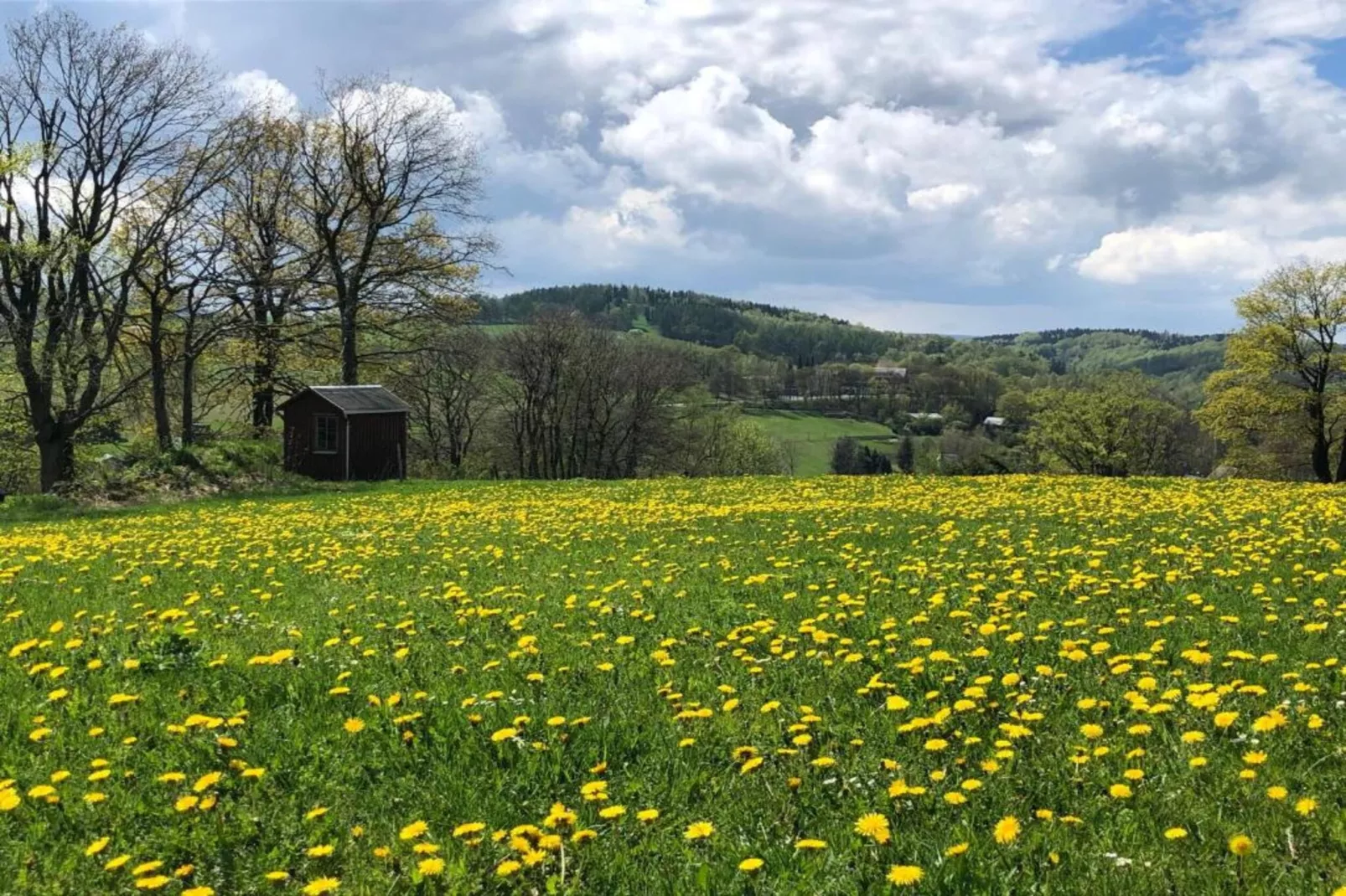 Sachsen-Areas within 20km in summer