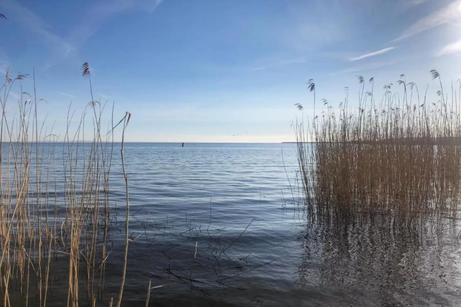 Ferienhaus Ahlbeck am Haff - Schlafen unter Reet / 2-Areas within 20km in summer