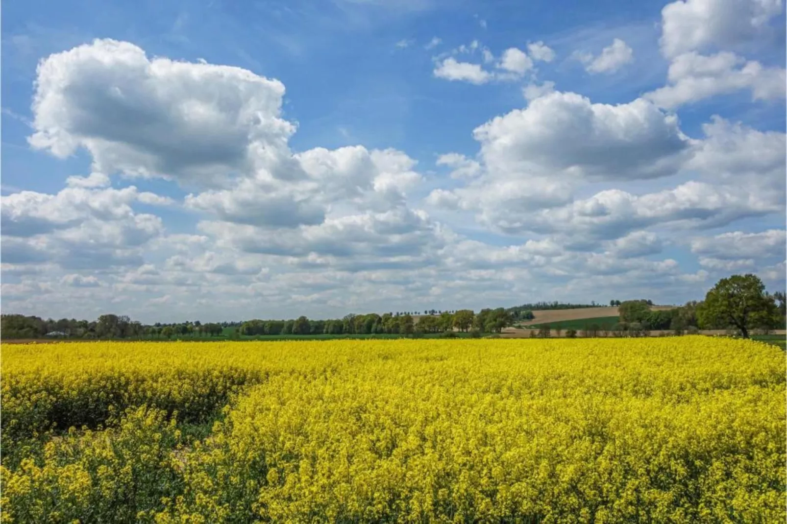 Feriendorf Natur pur 2-Zones été à 20 km