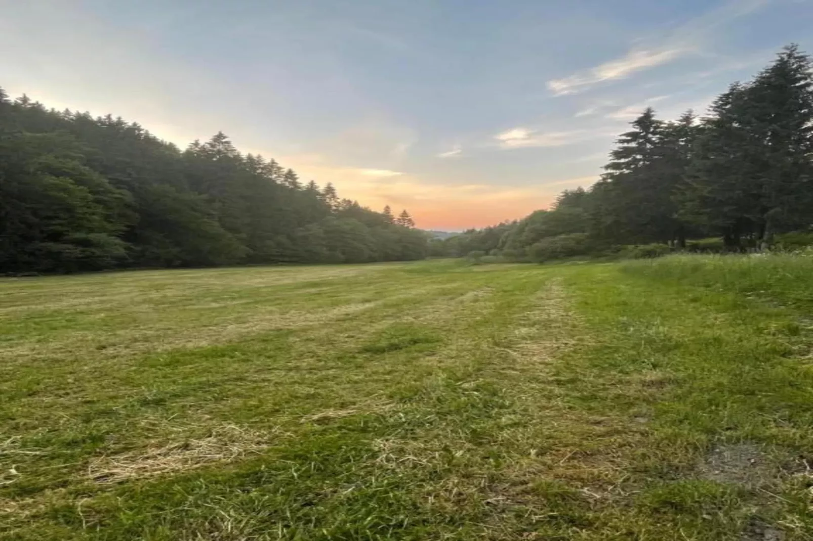 Appartement Willingen-Gebiete Sommer 5 km