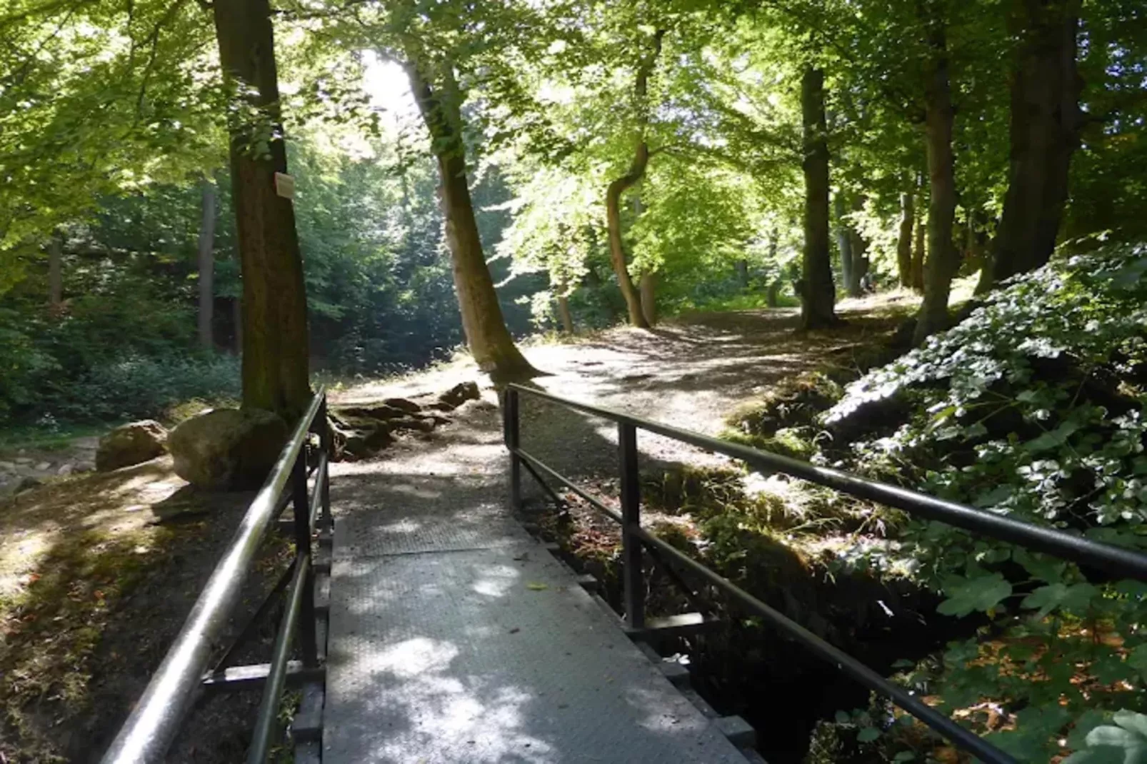 Haus Buchberg-Areas within 1km in summer