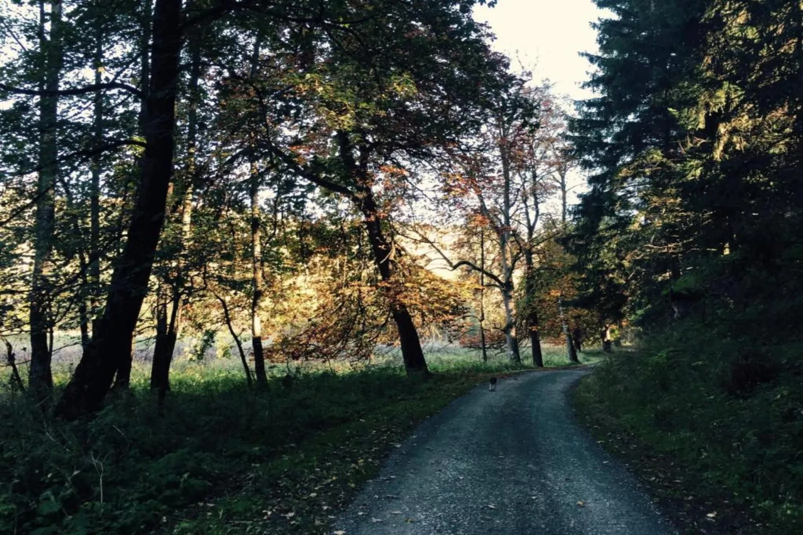 Bergfeld-Areas within 20km in summer