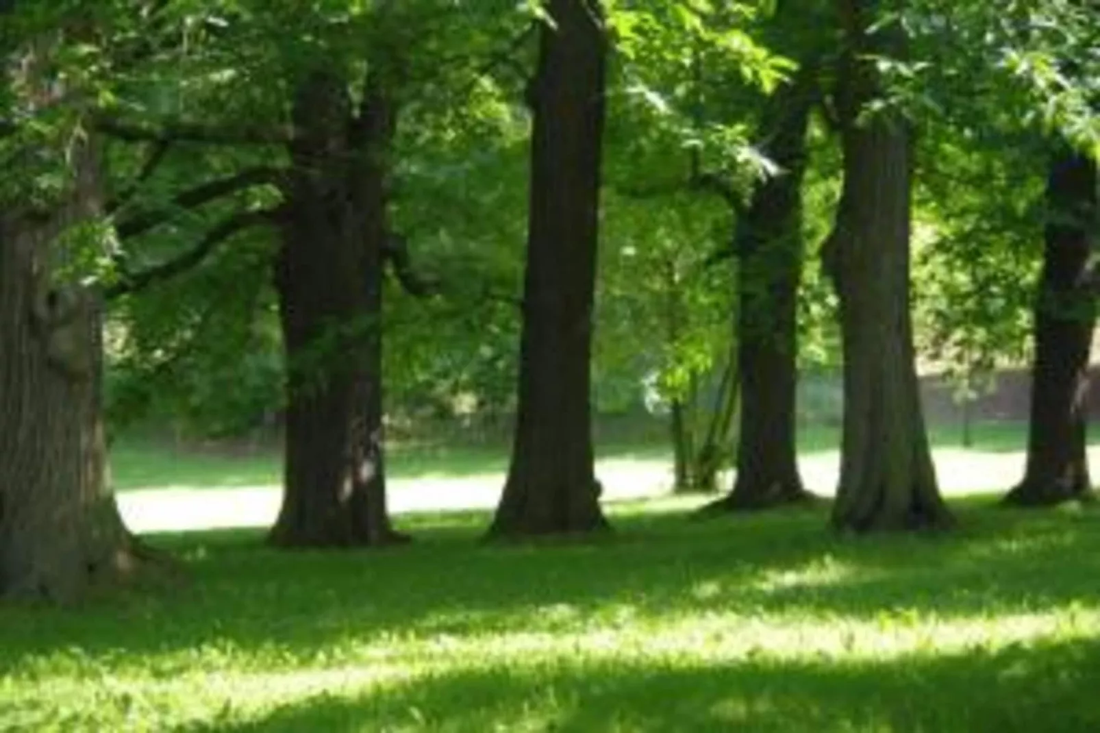 Ferienwohnung Jagdglück-Areas within 20km in summer