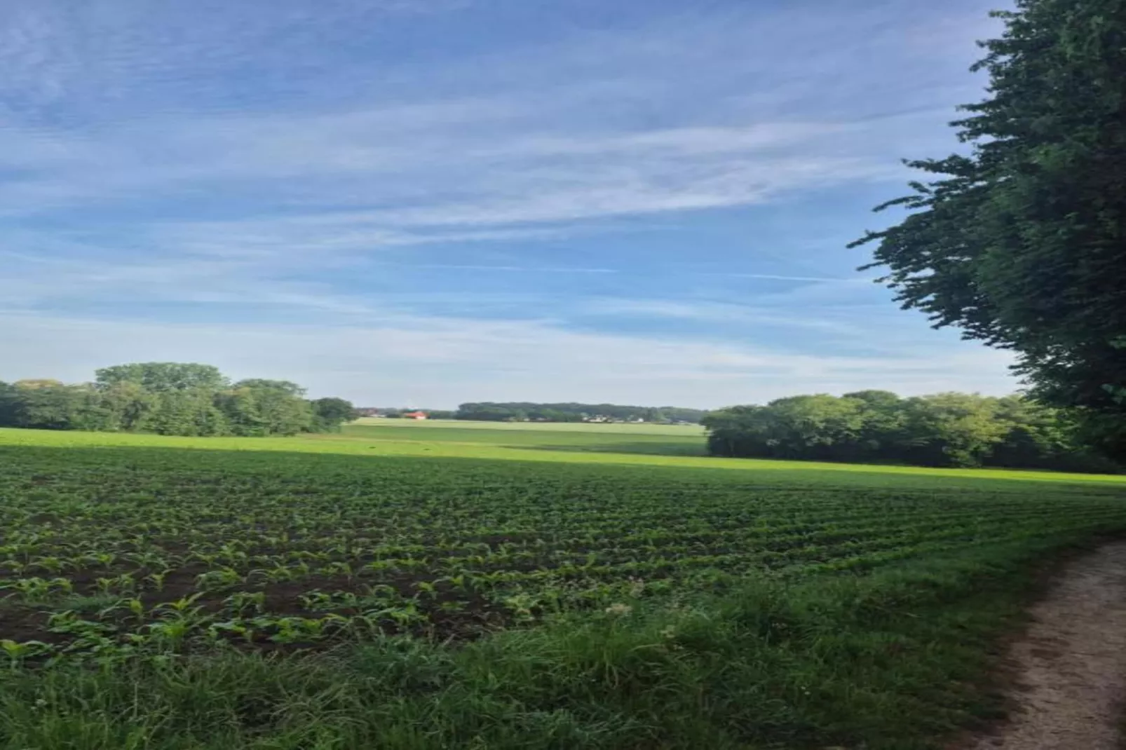 Ferienresort Bad Bentheim 4-Gebiete Sommer 20 km