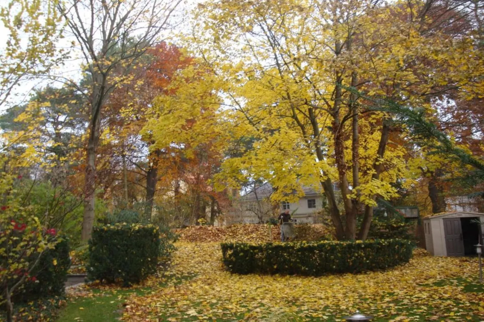Eifelpark Kronenburger See-Areas within 20km in summer