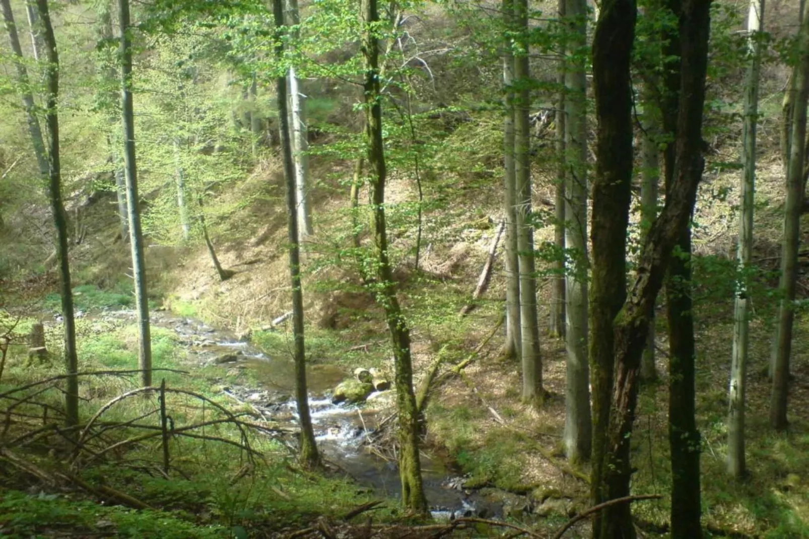 Pilmer 20-Areas within 20km in summer
