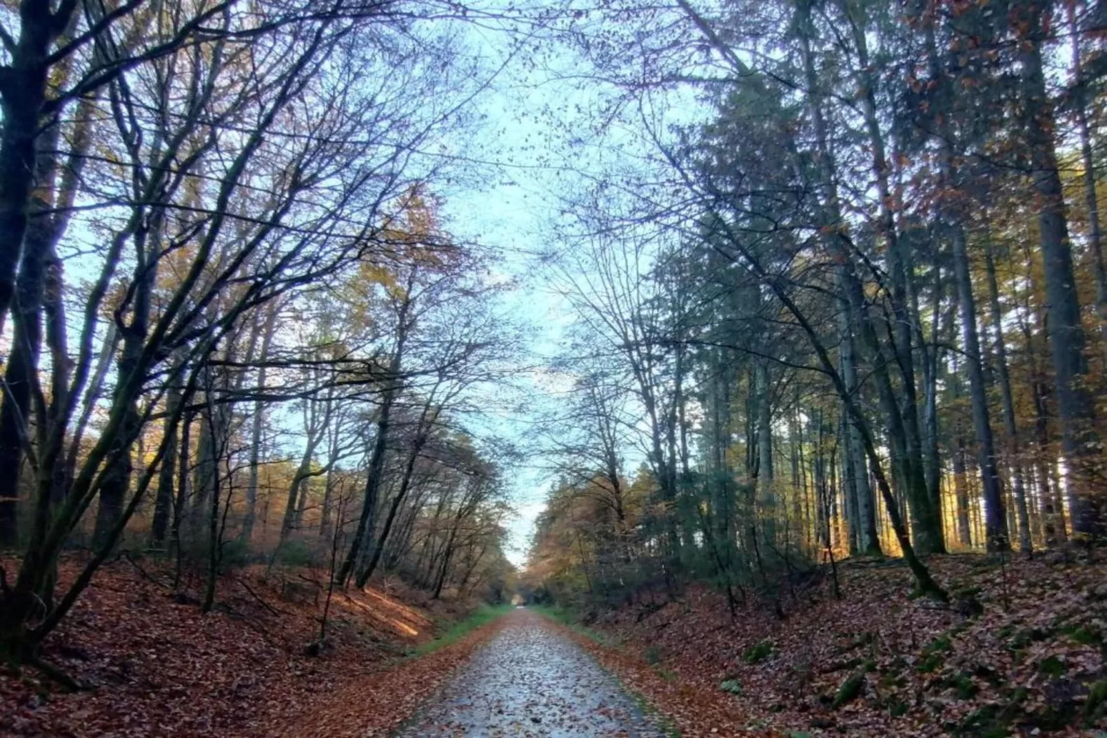 Ferienhaus Rühlen-Areas within 20km in summer
