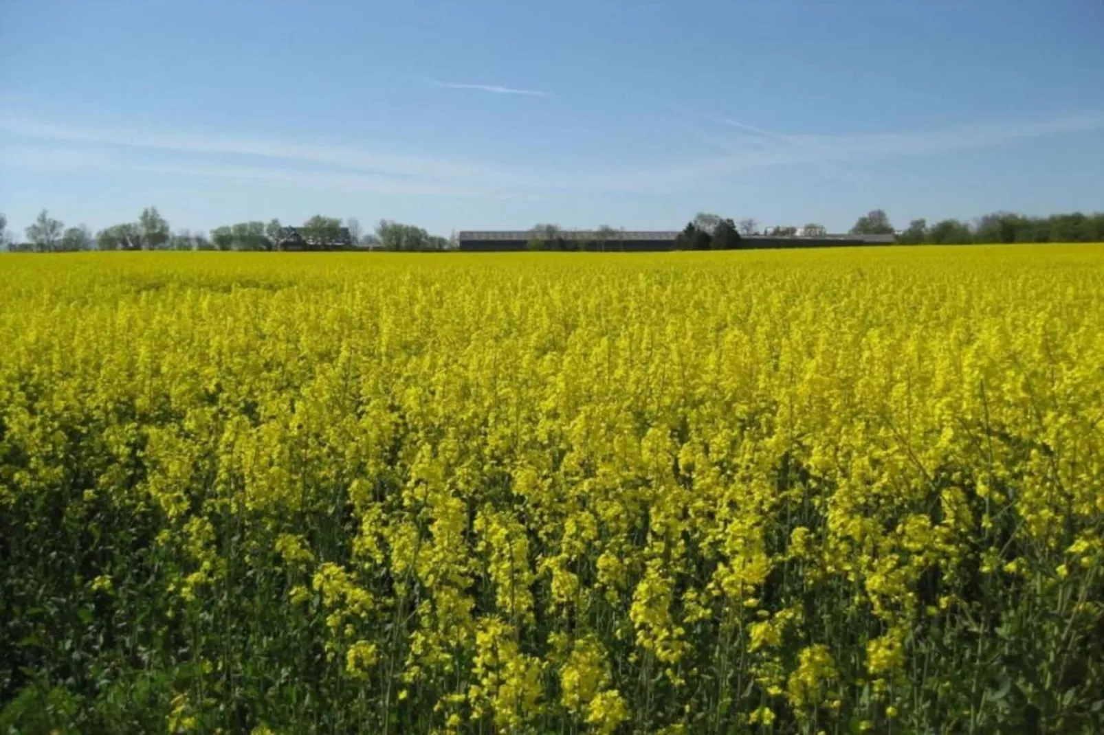 Fichtenhof-Areas within 20km in summer