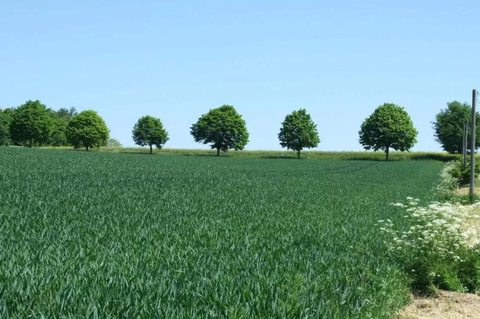 Kaifenheimer Mühle 1-Areas within 20km in summer