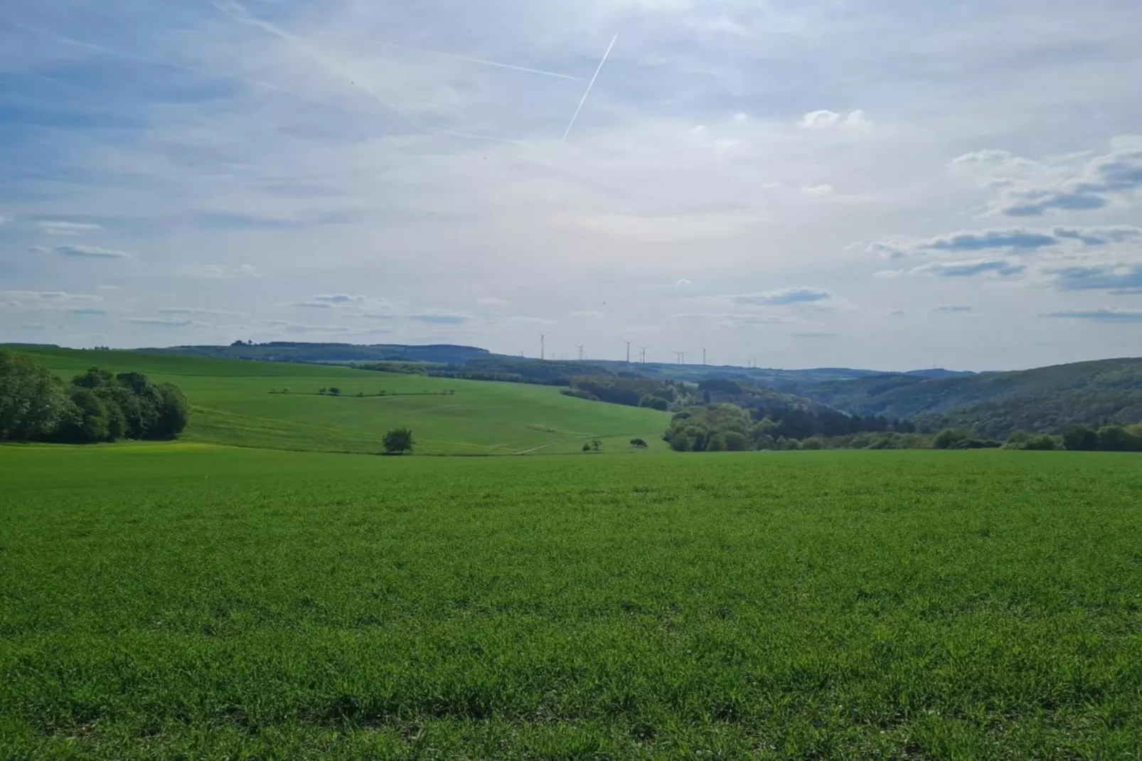 FEWO Eifelruhe-Areas within 20km in summer