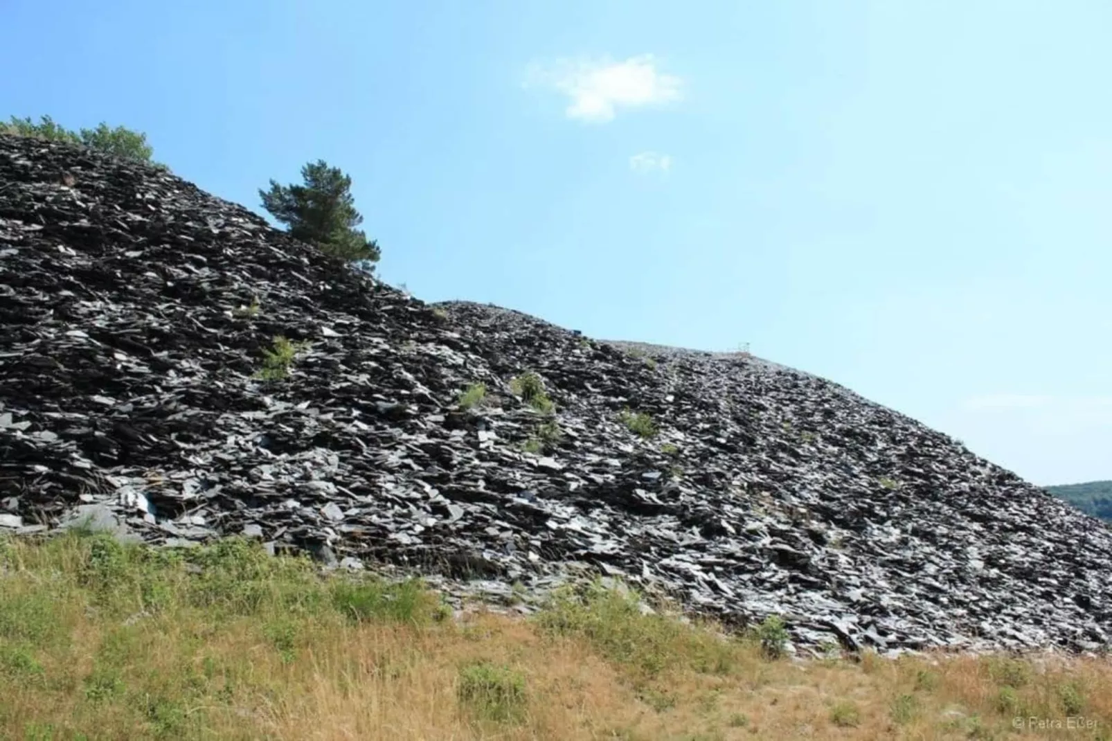 Mohr-Areas within 20km in summer