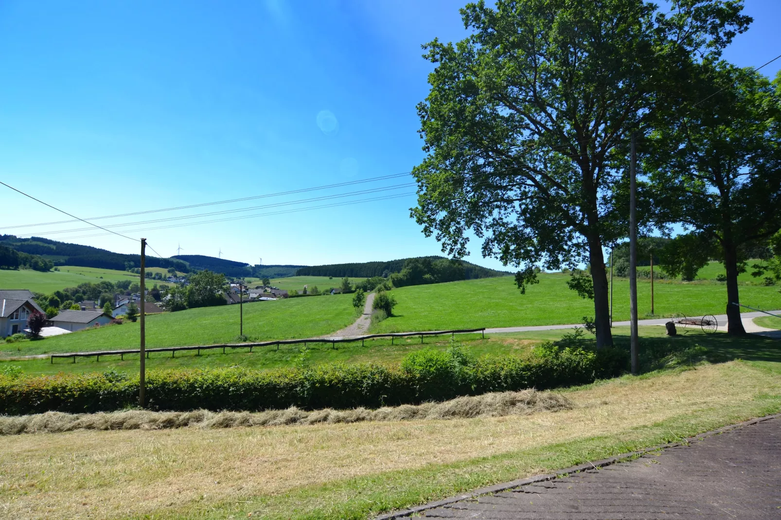 Dömer-View in summer