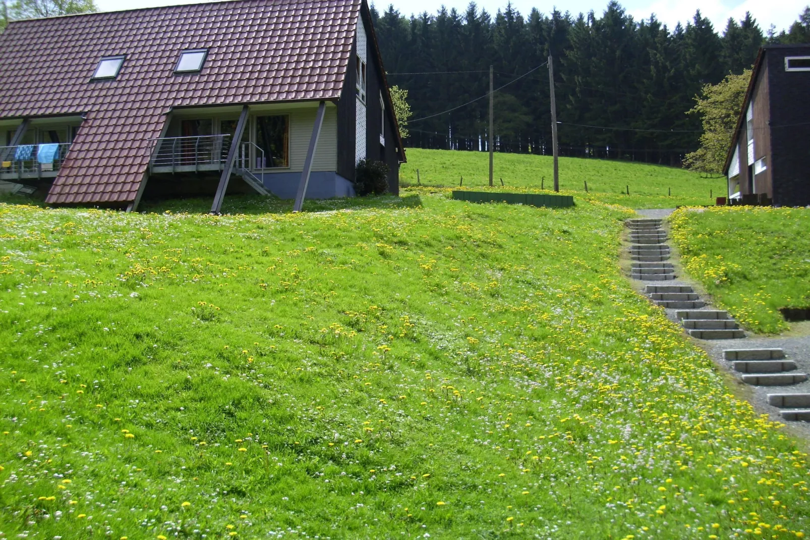 Dachsbau-Exterior in summer