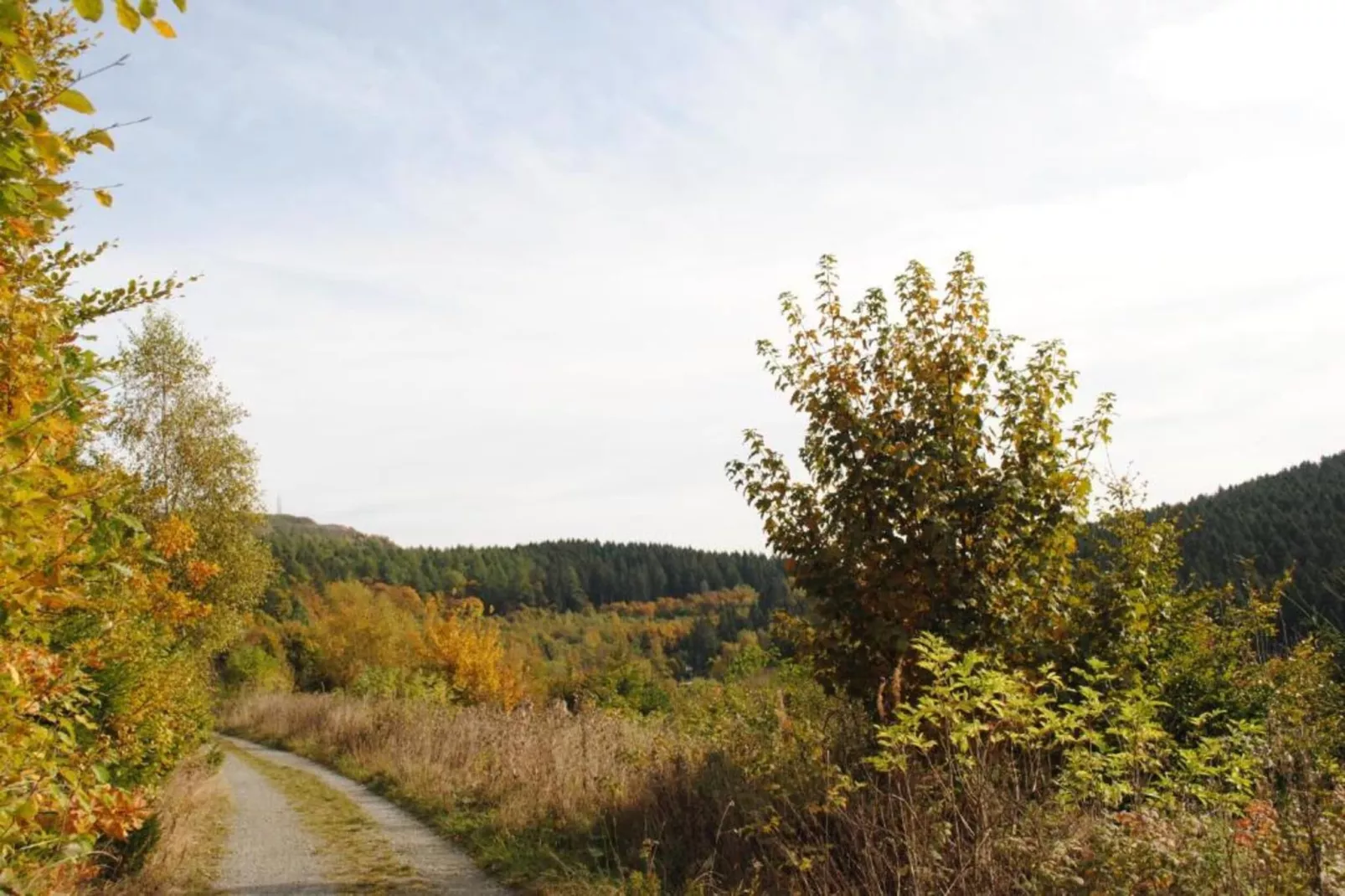 Sauerland