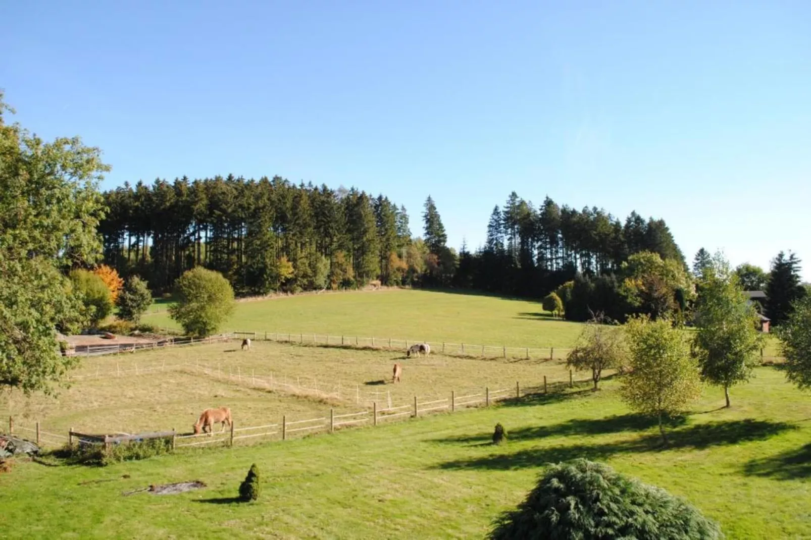 Ferienwohnung Sauerland