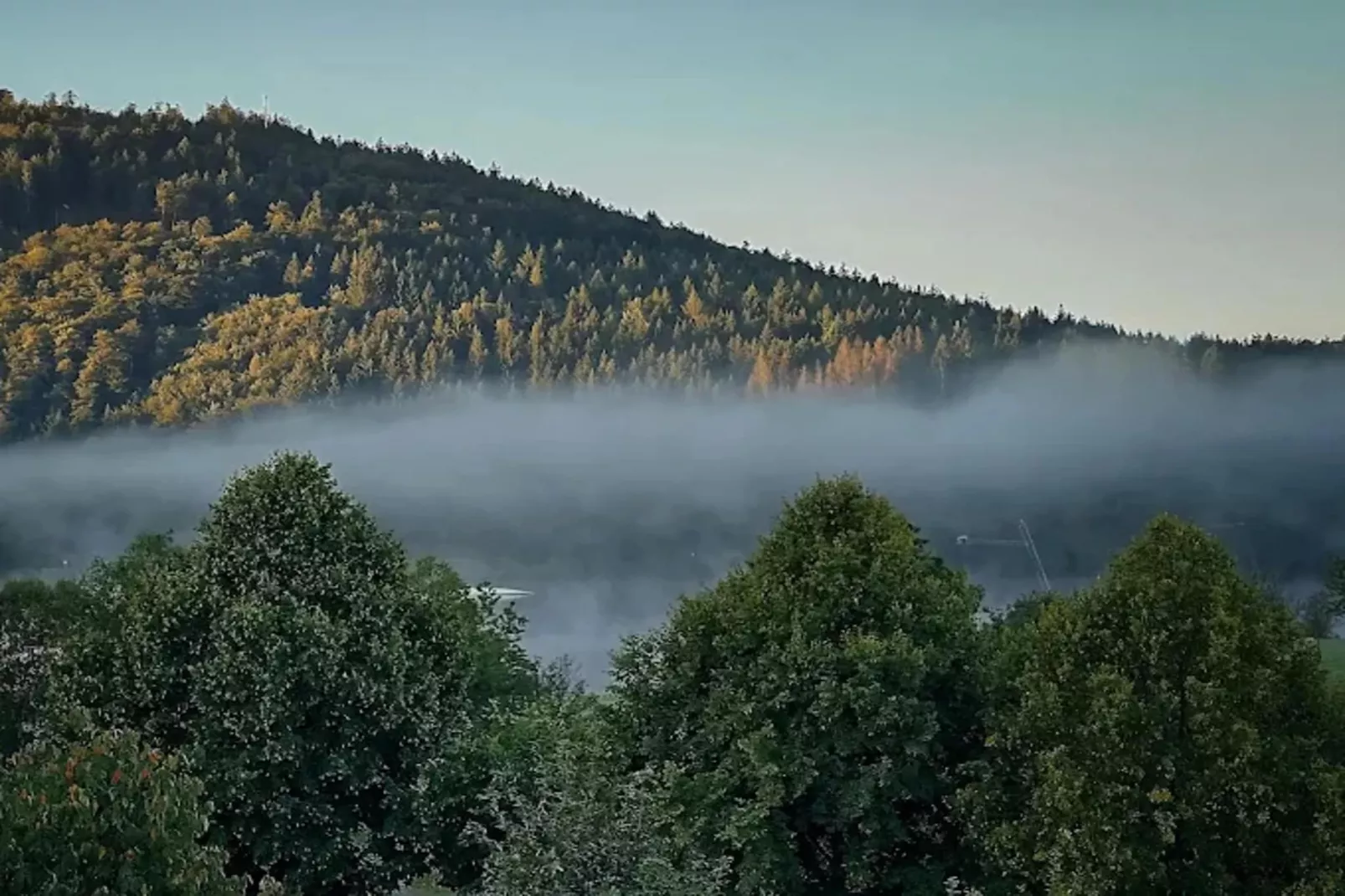 Buchenweg 13 - Kappenblick-Zones été à 5 km