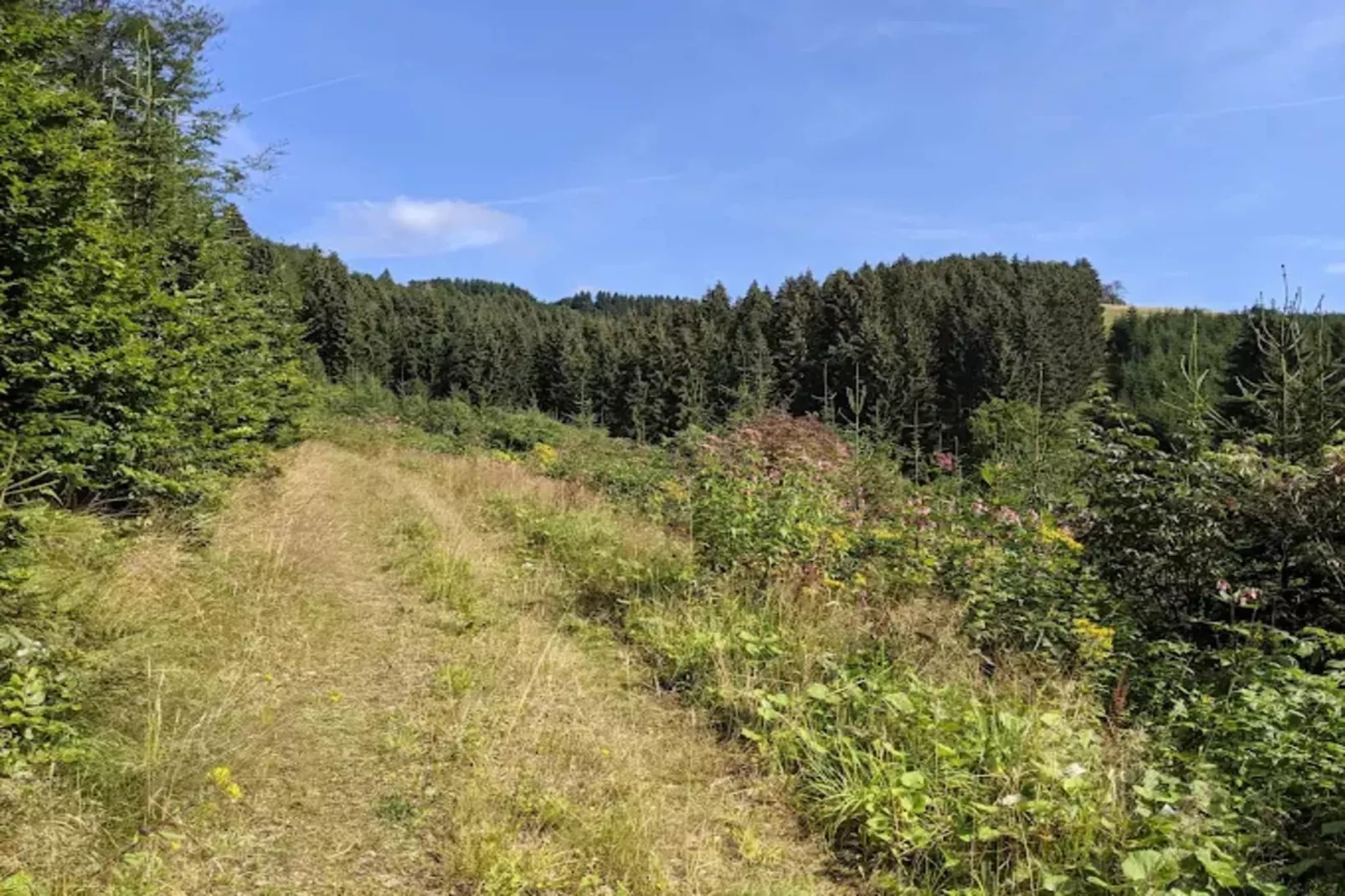 Neuastenberger Straße 4 - Neuastenberg-Gebiete Sommer 1 km