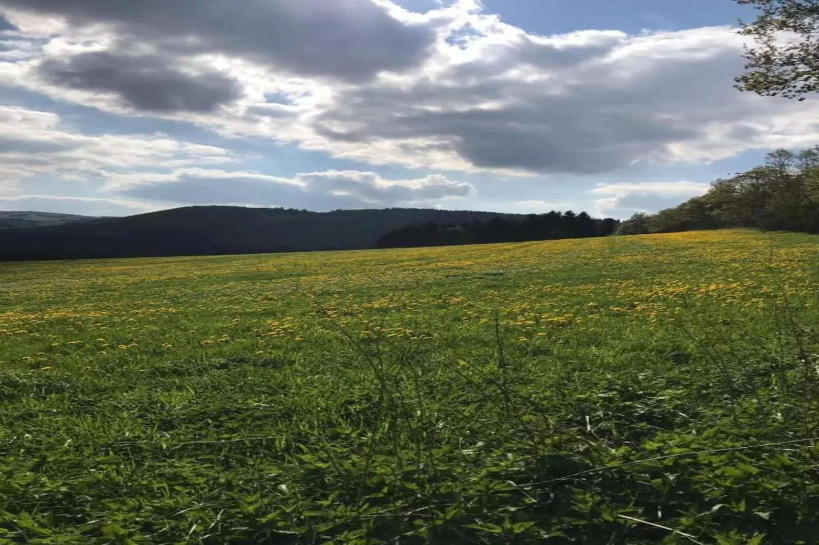 Am Astenberg