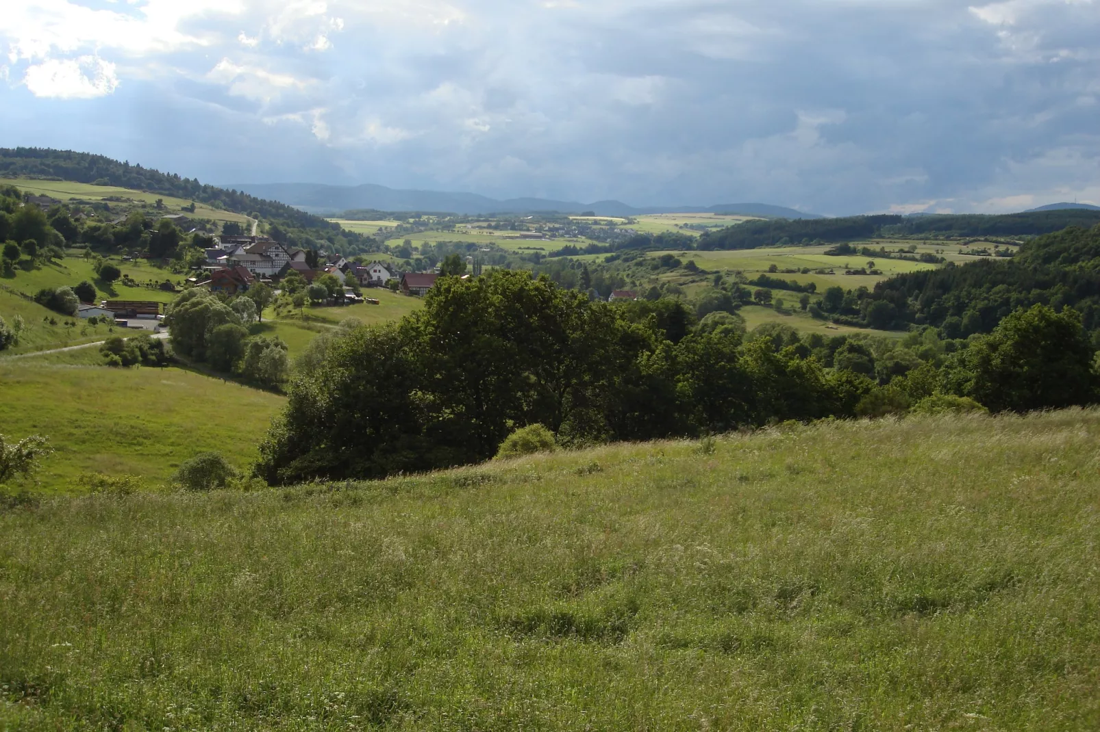 Köster-Areas within 5km in summer