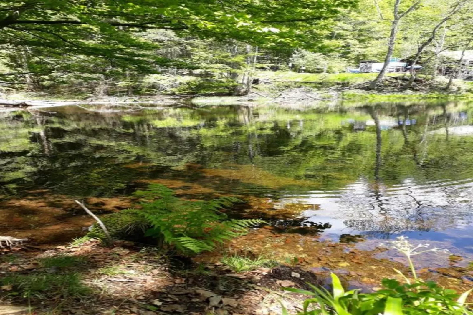 Feriendorf Waldbrunn 1-Gebiete Sommer 20 km